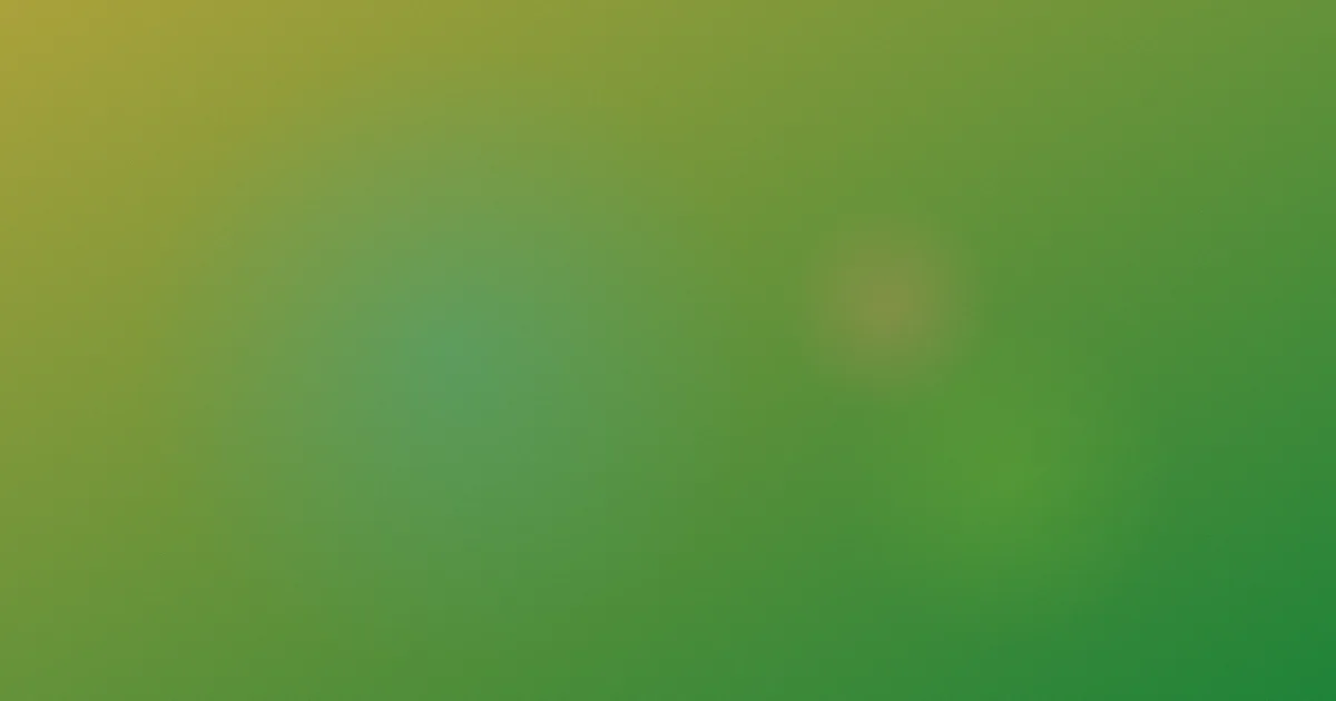 情欲电车2避坑指南